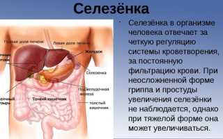 Почему болит левый бок внизу живота, причины и лечение