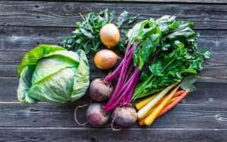 Продукты способствующие очищению кишечника от шлаков