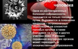 Типы вируса папилломы человека (ВПЧ)