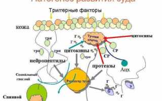 Основные причины возникновения кожного зуда