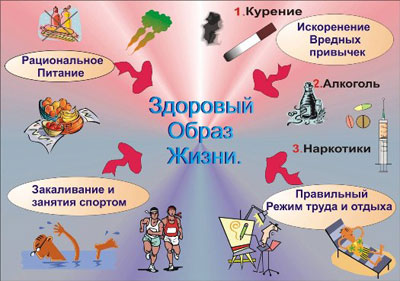 Здоровая жизнь